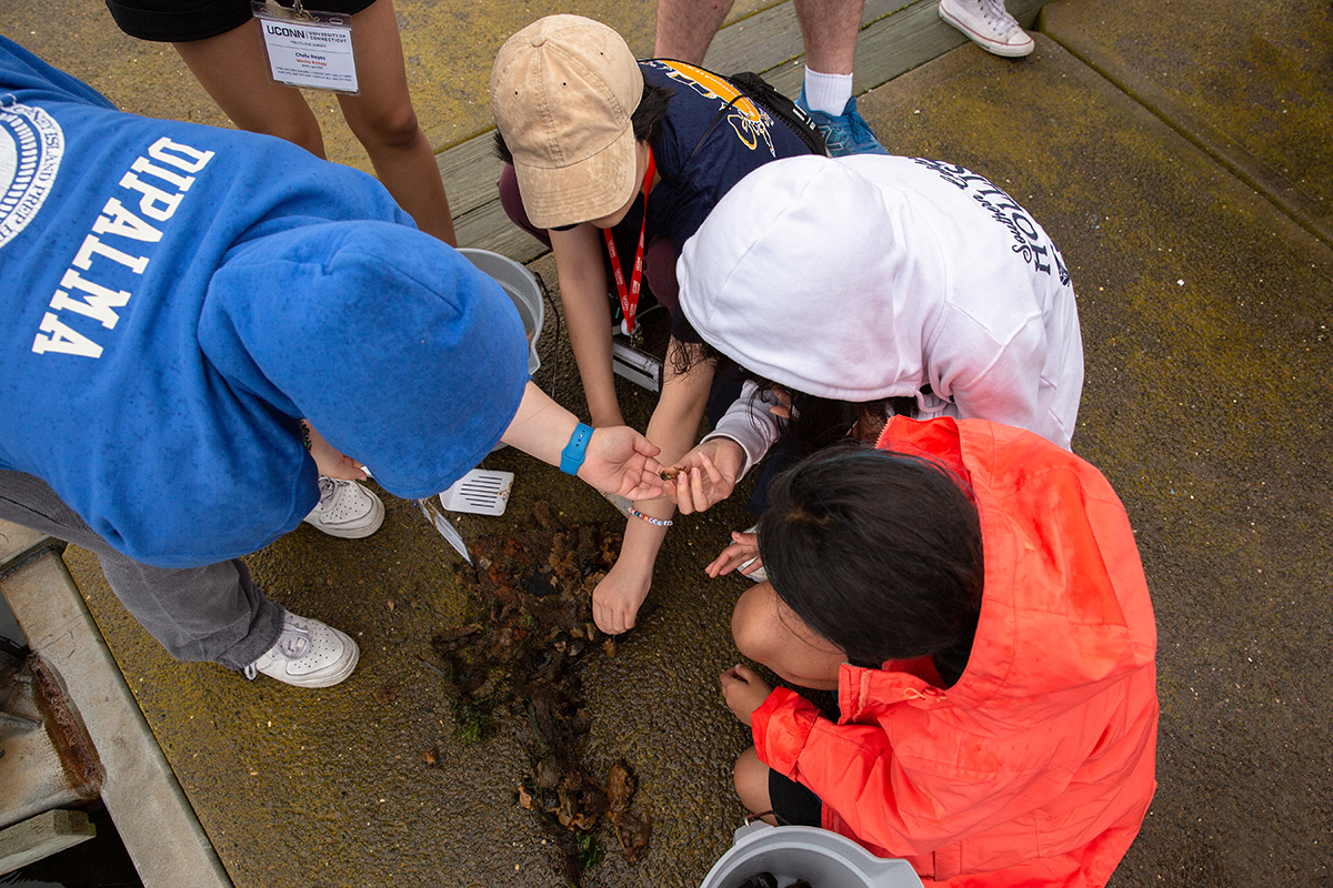 Young students participate in an educational activity on a beach.