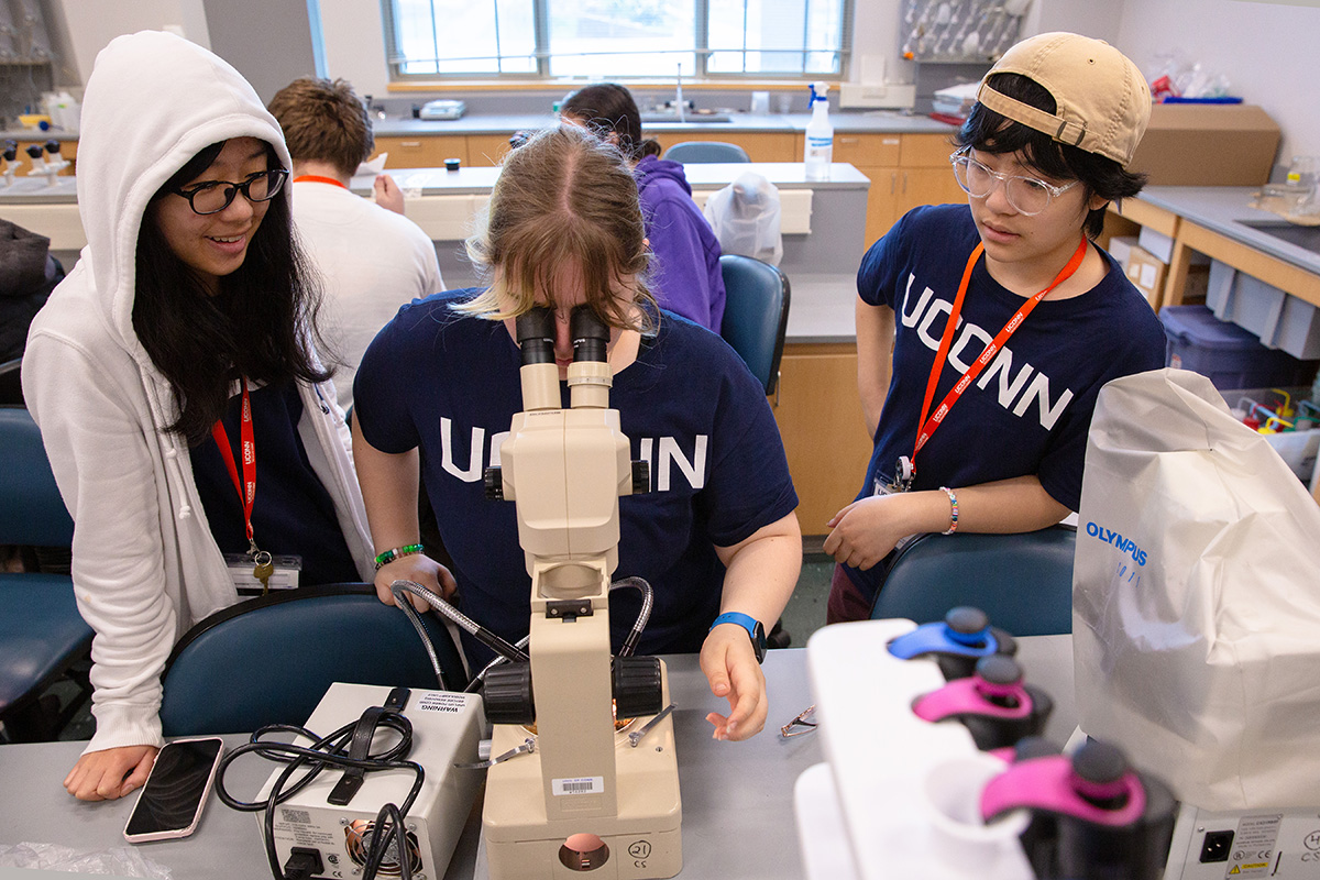 High school students participate in a marine biology lab as part of the UConn Pre-College Summer Program.