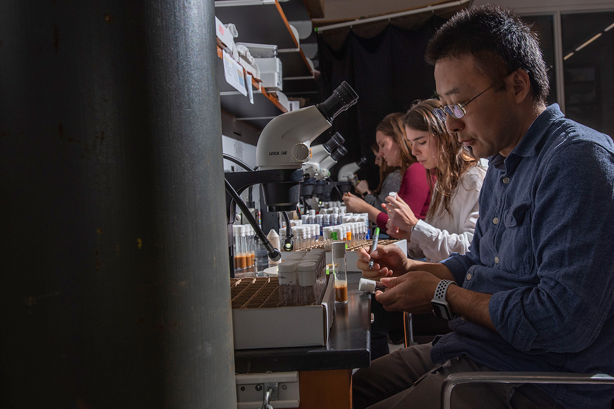 Researchers working in a biology lab seated in front of microscopes. 